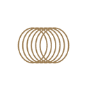 INTERPOLITAN MONEY P.L.C. logo