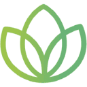 WireBloom LTD logo